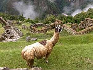 016_machu